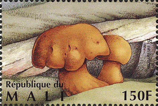 Briefmarke