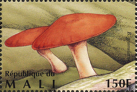 Briefmarke