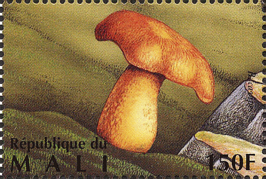 Briefmarke