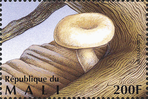 Briefmarke