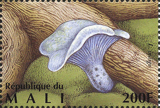 Briefmarke