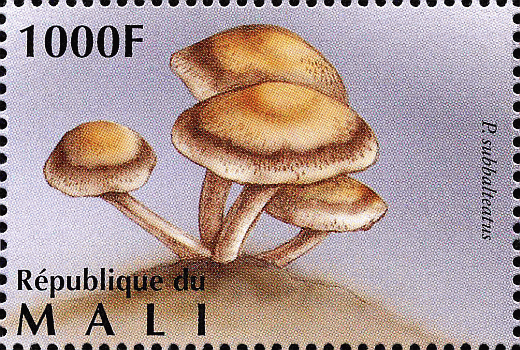 Briefmarke