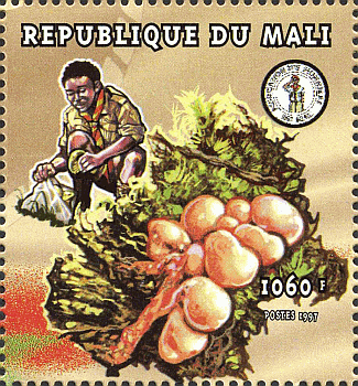 Briefmarke