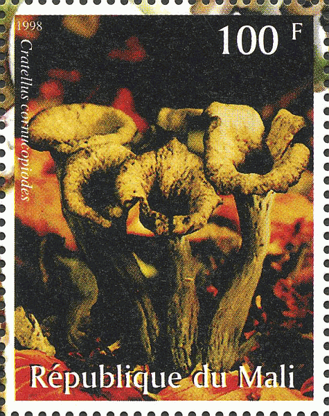 Briefmarke
