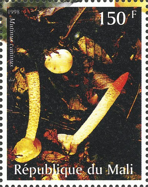 Briefmarke