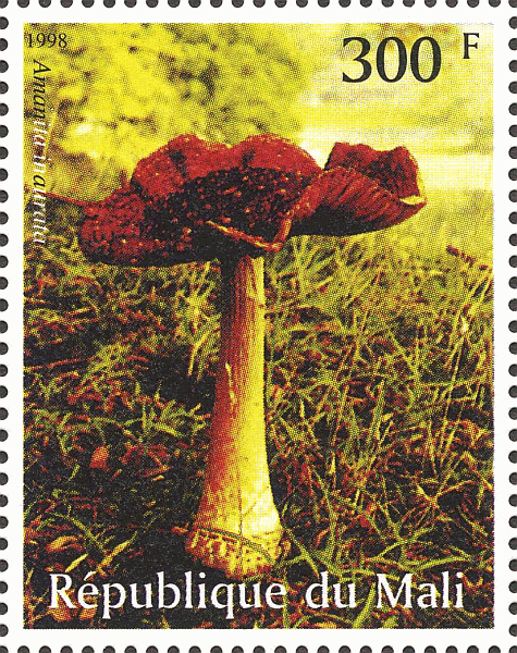 Briefmarke