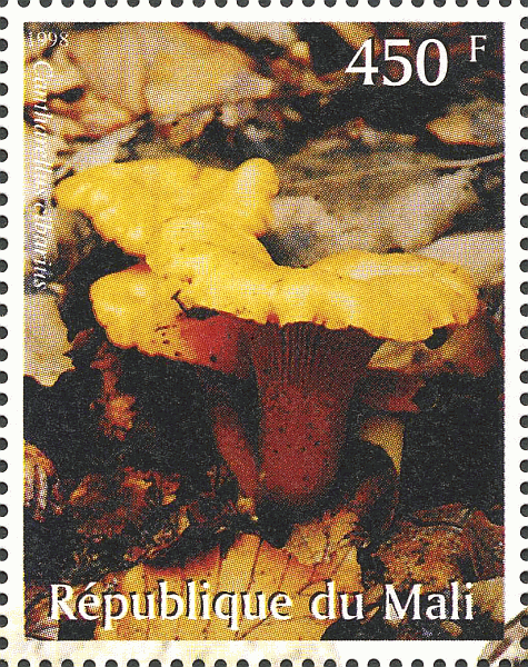 Briefmarke