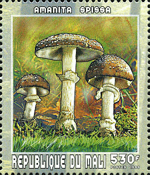 Briefmarke