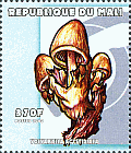 Briefmarke
