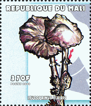 Briefmarke