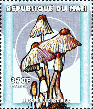 Briefmarke