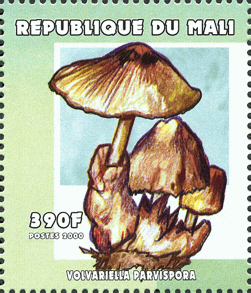 Briefmarke