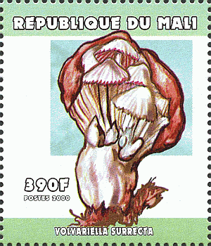 Briefmarke