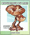 Briefmarke