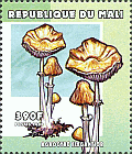 Briefmarke