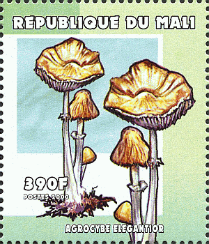 Briefmarke