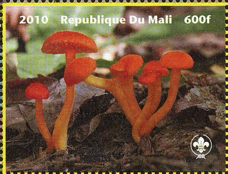 Briefmarke