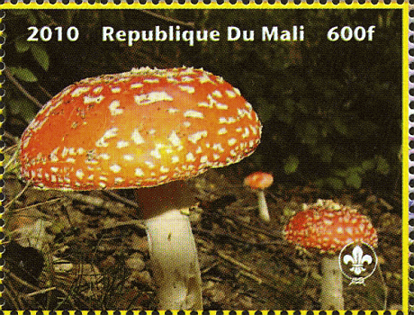 Briefmarke
