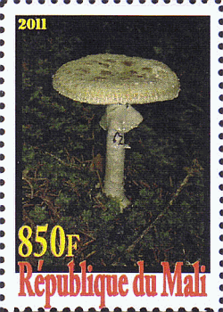 Briefmarke