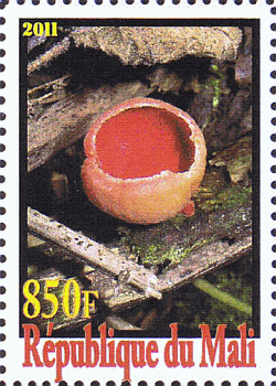 Briefmarke