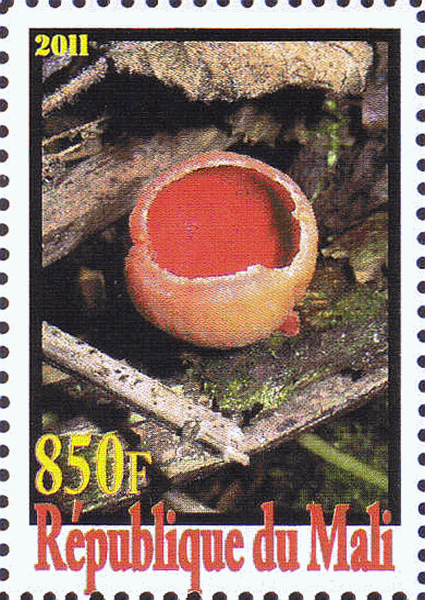 Briefmarke