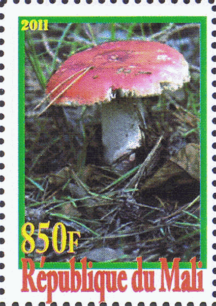 Briefmarke