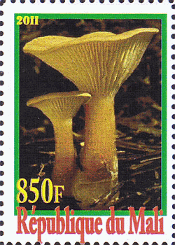 Briefmarke