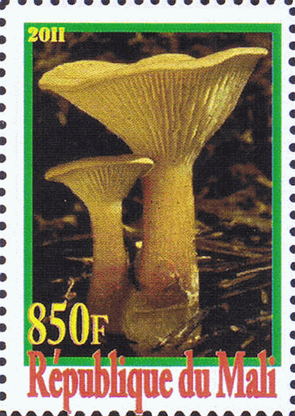 Briefmarke