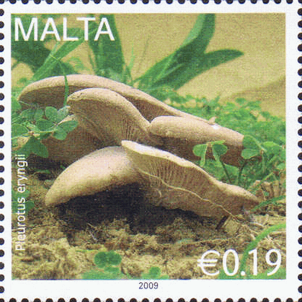 Briefmarke