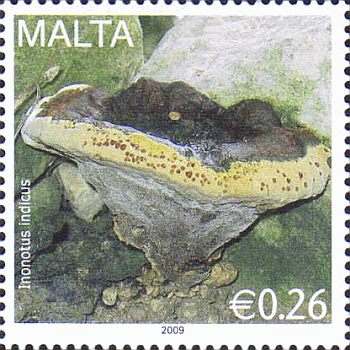 Briefmarke