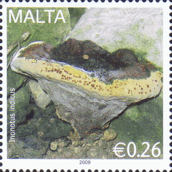 Briefmarke