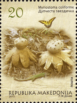 Briefmarke