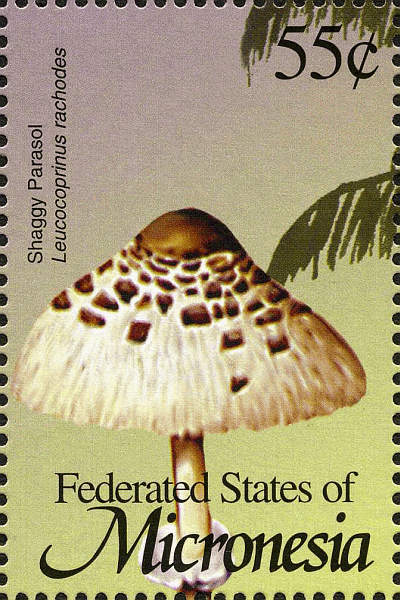 Briefmarke