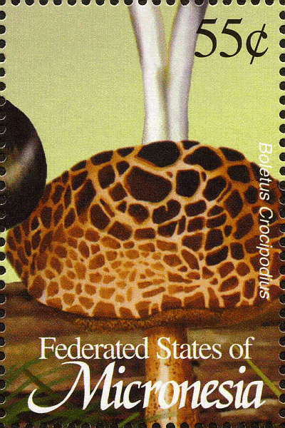 Briefmarke