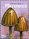 Briefmarke
