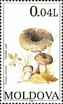 Briefmarke
