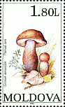 Briefmarke