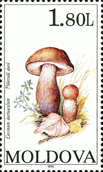 Briefmarke