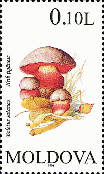 Briefmarke