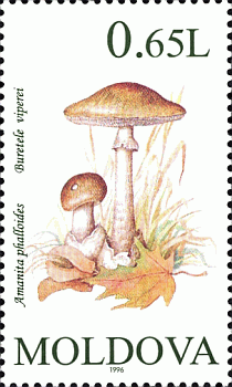 Briefmarke