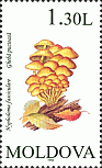 Briefmarke