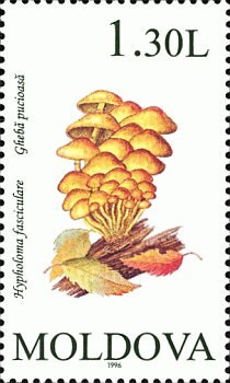 Briefmarke