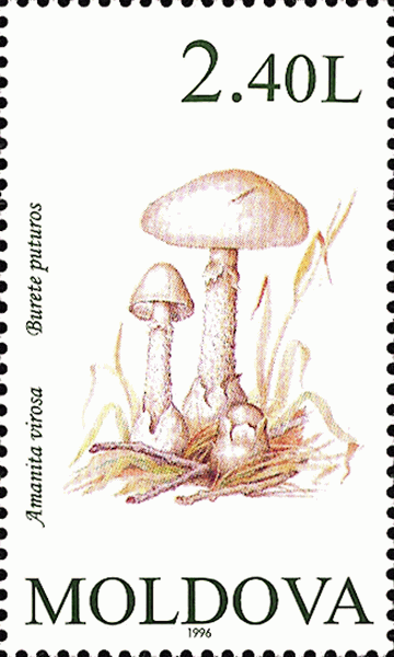 Briefmarke