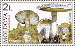 Briefmarke