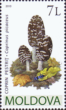 Briefmarke