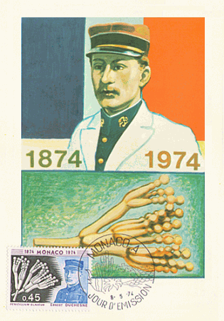 Maximumkarte