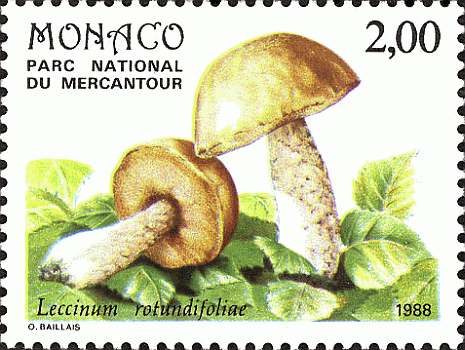 Briefmarke
