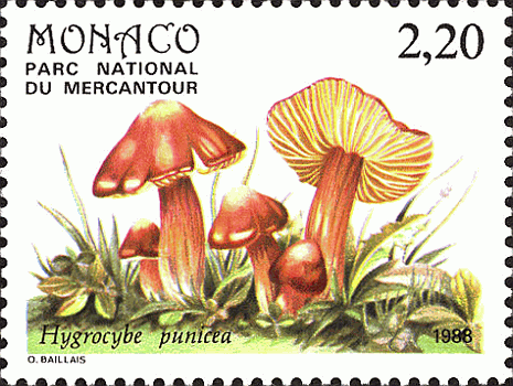 Briefmarke