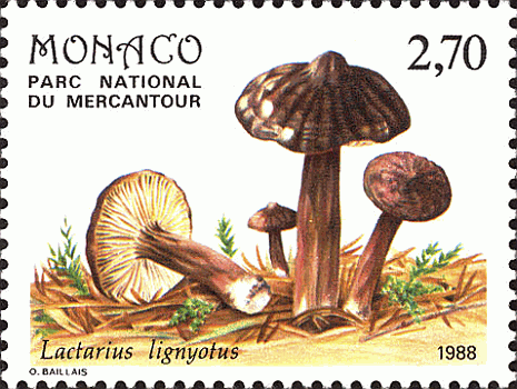 Briefmarke