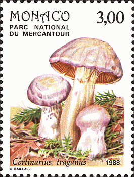 Briefmarke